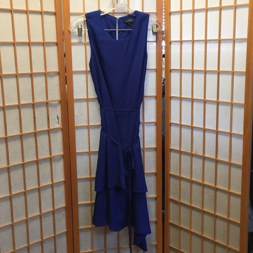 The Limited Sleeveless Asymmetric Dress